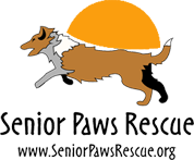 Senior Paws Rescue
